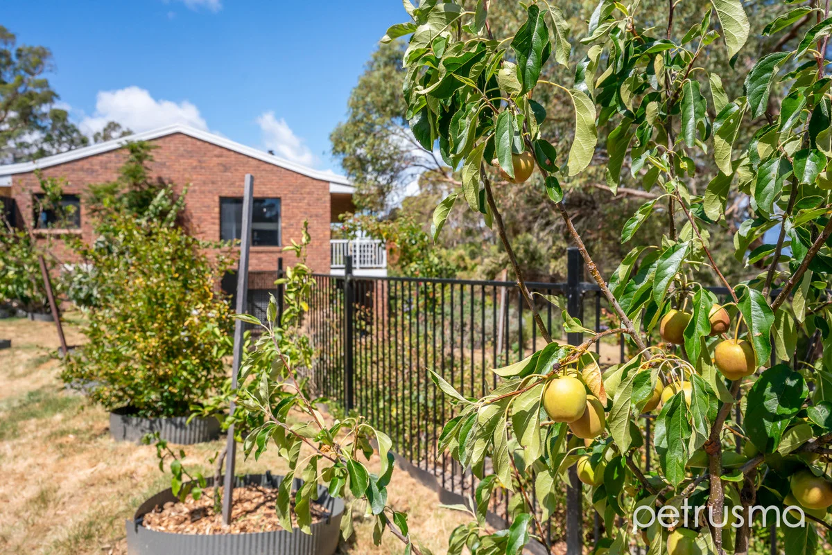 Additional image 28 of 15 Villawood Court, Forcett TAS 7173