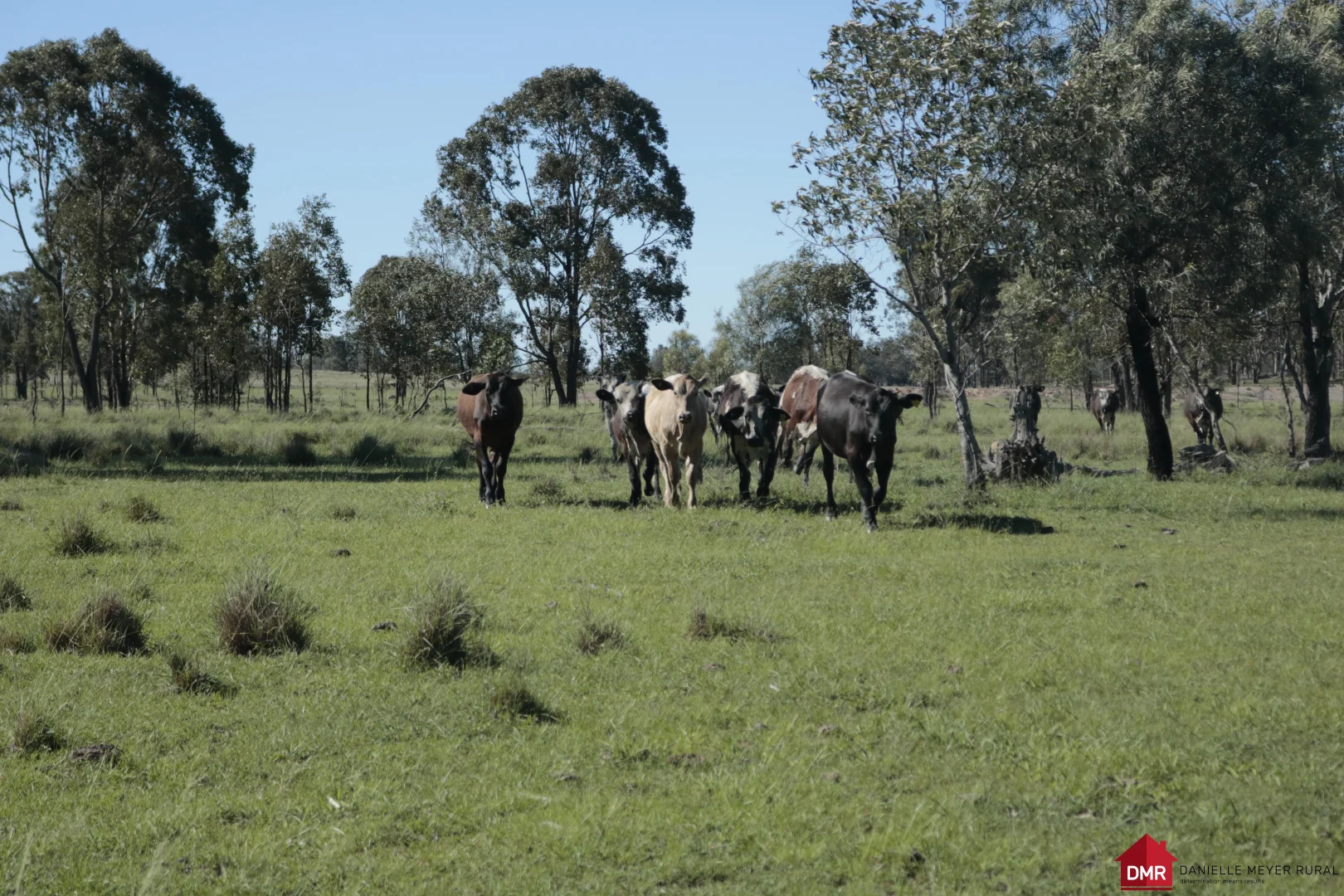 Additional image 18 of 25731 Burnett Highway, Cynthia QLD 4627