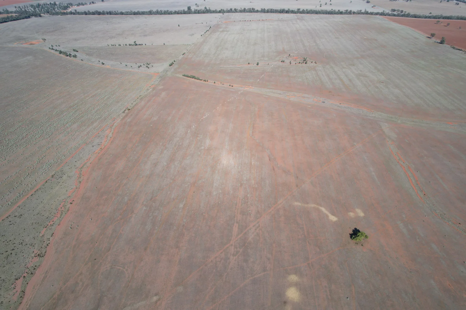 Additional image 3 of 1826 Tallimba Road, West Wyalong NSW 2671