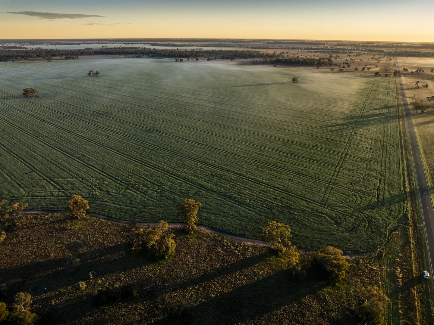Additional image 8 of Bourbah 2598 Warren Road, Gulargambone NSW 2828