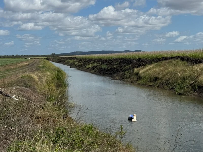 Additional image 29 of 218 Oats Road, Fredericksfield QLD 4806