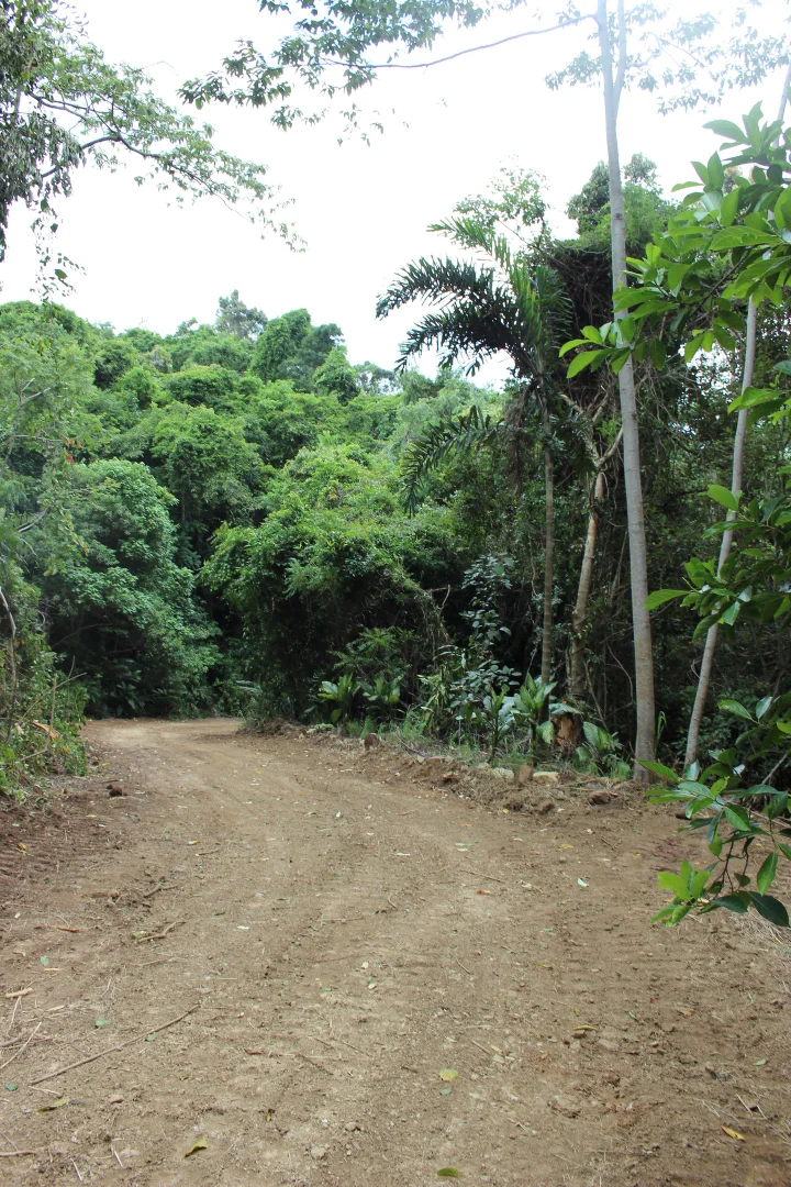 Additional image 23 of 1243 Yakapari-Seaforth Road, Mount Jukes QLD 4740