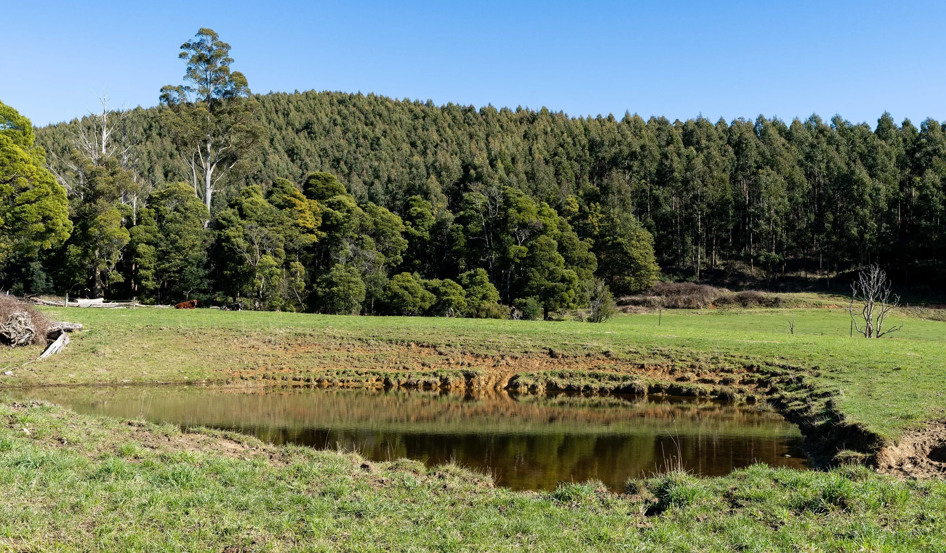 Additional image 26 of Alberton TAS 7263