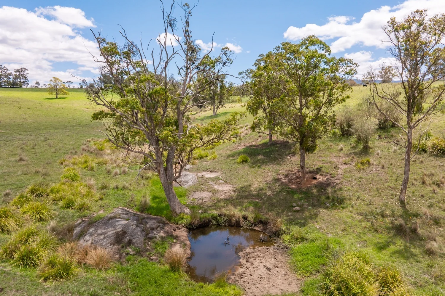 Additional image 21 of 2499 Towamba Rd, Towamba NSW 2550