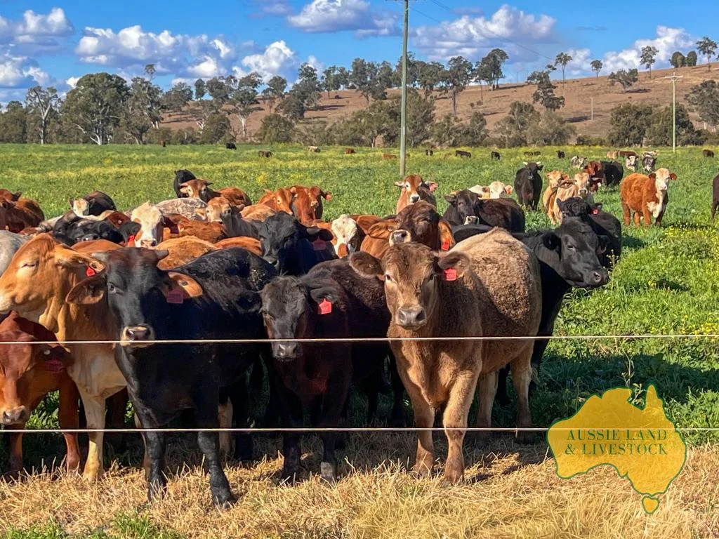 Additional image 45 of 250 Heights Road, Nanango QLD 4615