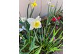 Additional image 15 of 130 Hartnell Pl, Sacramento, CA, 95825