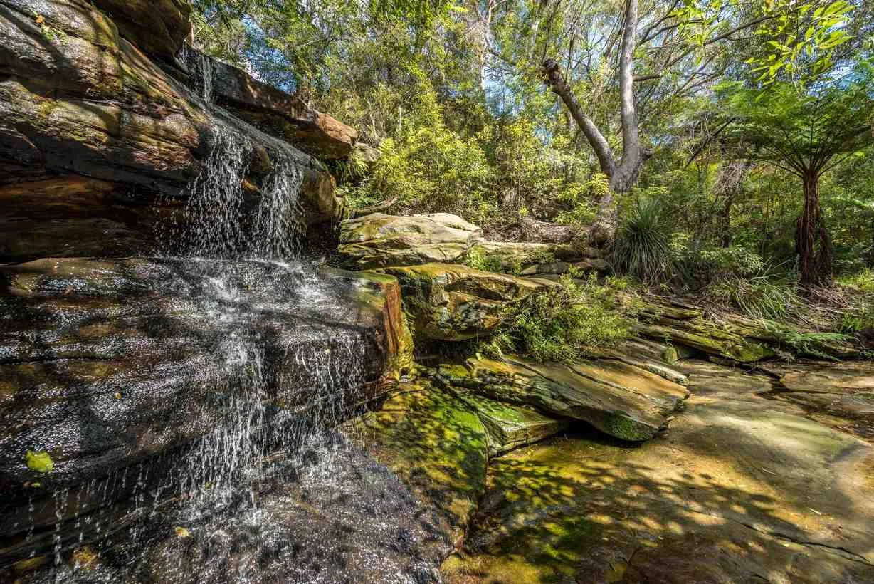 Additional image 9 of 51/81 Willandra Road, Narraweena NSW 2099