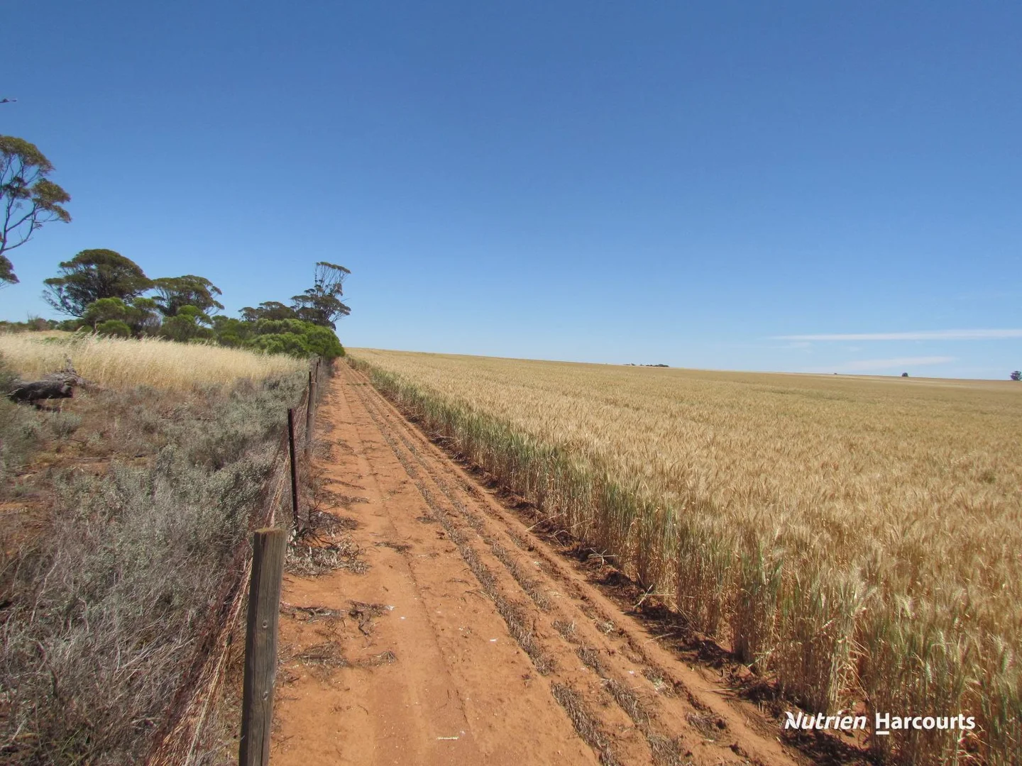 Additional image 8 of 23924 Great Northern Highway, Nugadong WA 6609