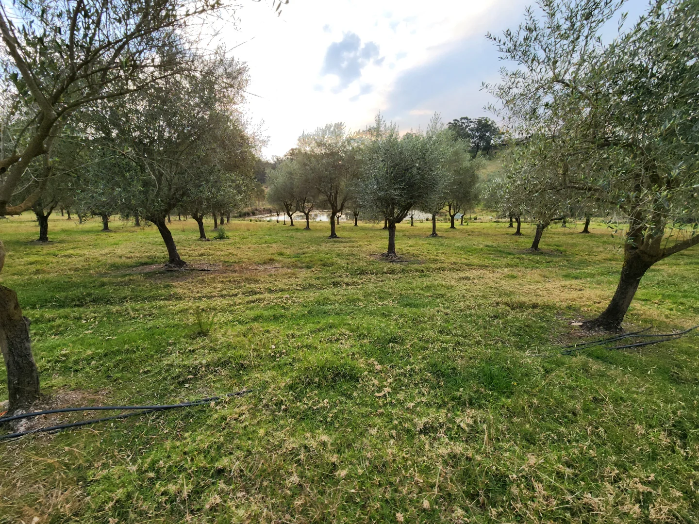 Additional image 52 of 100 Eltons Road, Silverdale NSW 2752