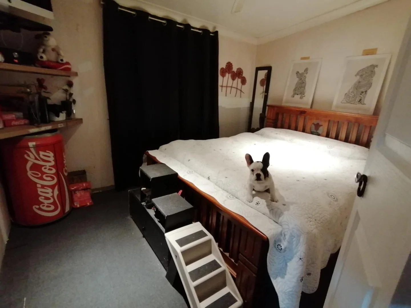 Additional image 17 of 9 Short Street, Deepwater NSW 2371