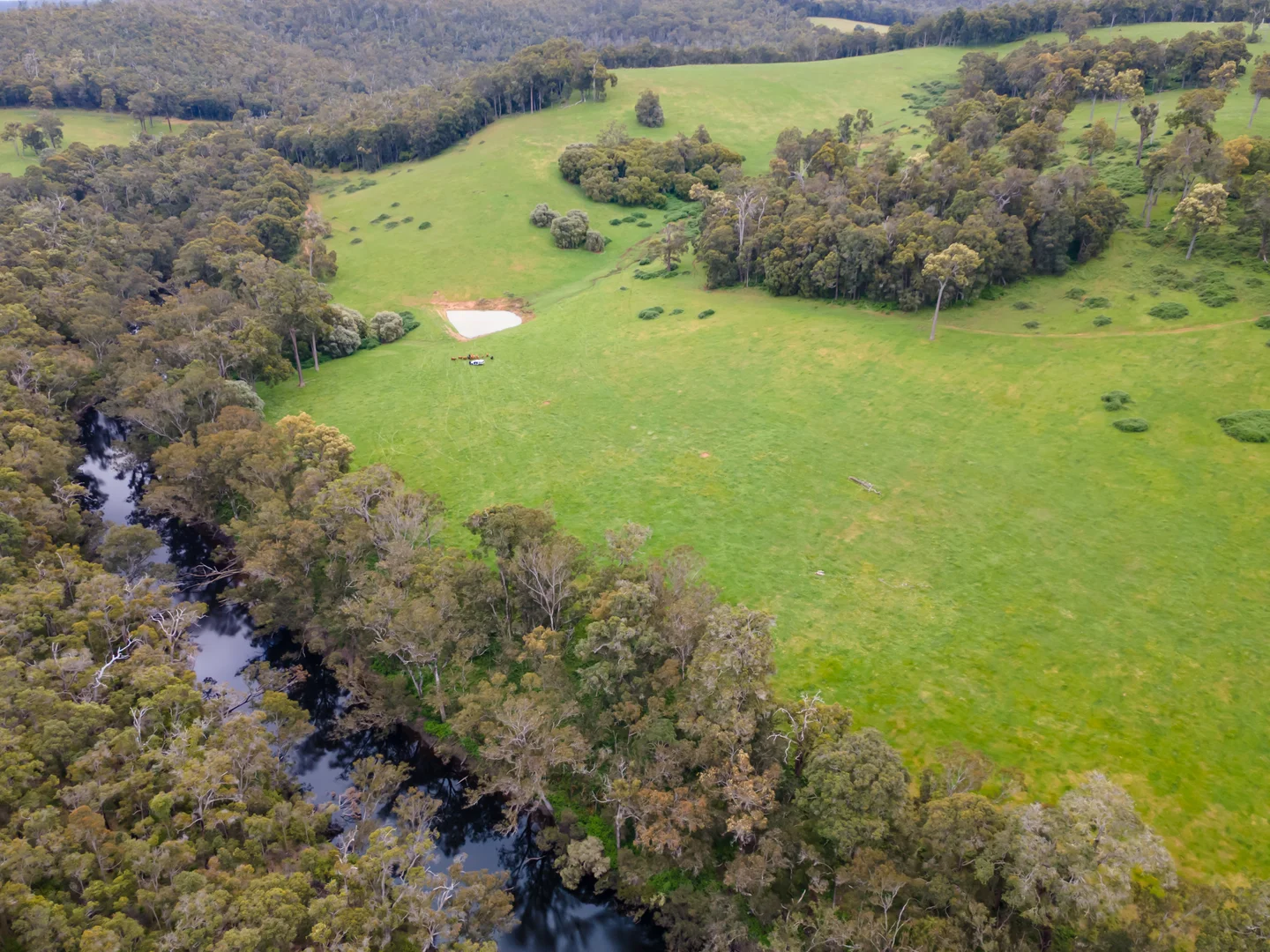 Additional image 16 of Lot 4 Kammann Road (Upper Warren), Manjimup WA 6258