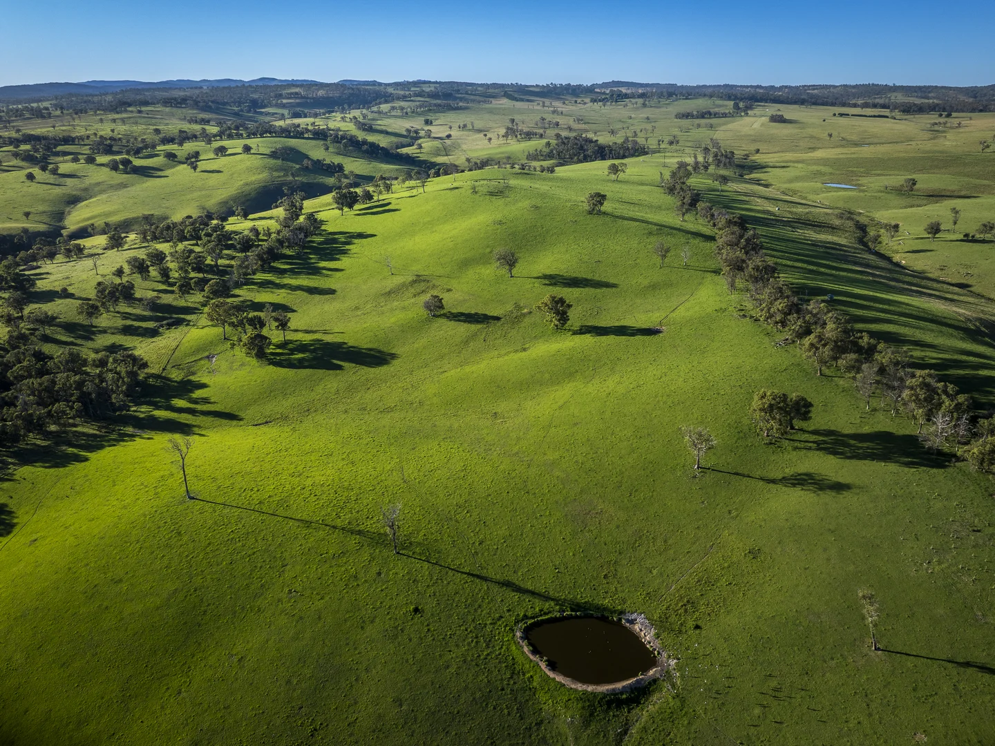 Additional image 8 of 338 Fishington Road, Wongwibinda NSW 2350