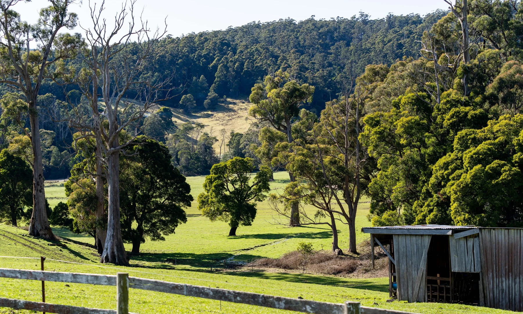 Additional image 35 of Alberton TAS 7263