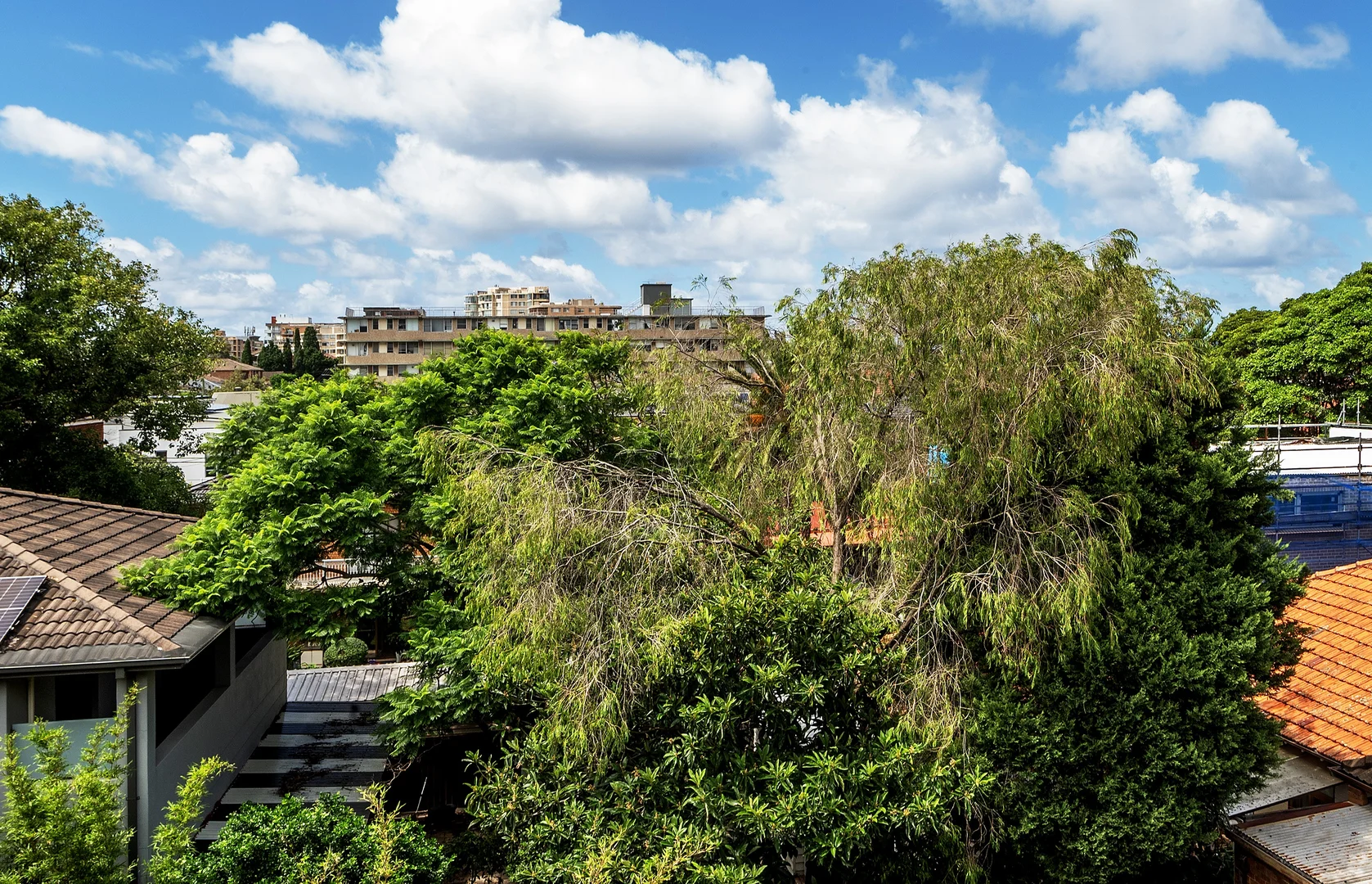 Additional image 9 of 12/38 Maroubra Road, Maroubra NSW 2035