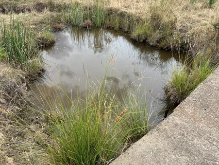 Additional image 13 of 3031 Rugby Road, Bevendale NSW 2581