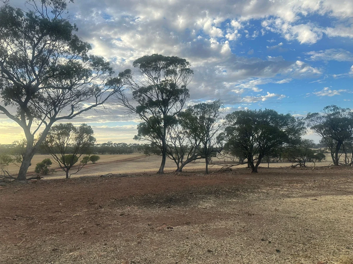 Additional image 7 of 2130 Long Forrest Road, Mumberkine WA 6401