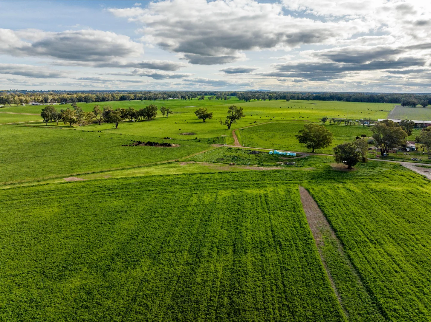 Additional image 10 of 1871 Old Narrandera Road, Euberta NSW 2650