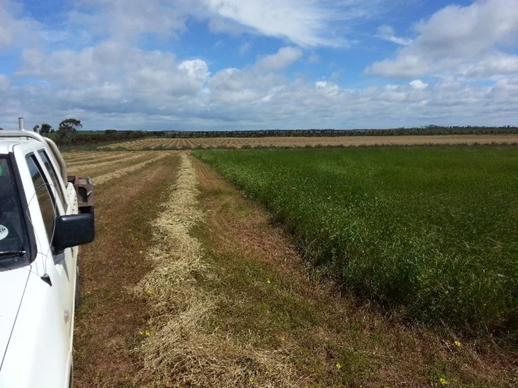 Additional image 2 of Lot 1, 905 Ngallo Road, Carina VIC 3512