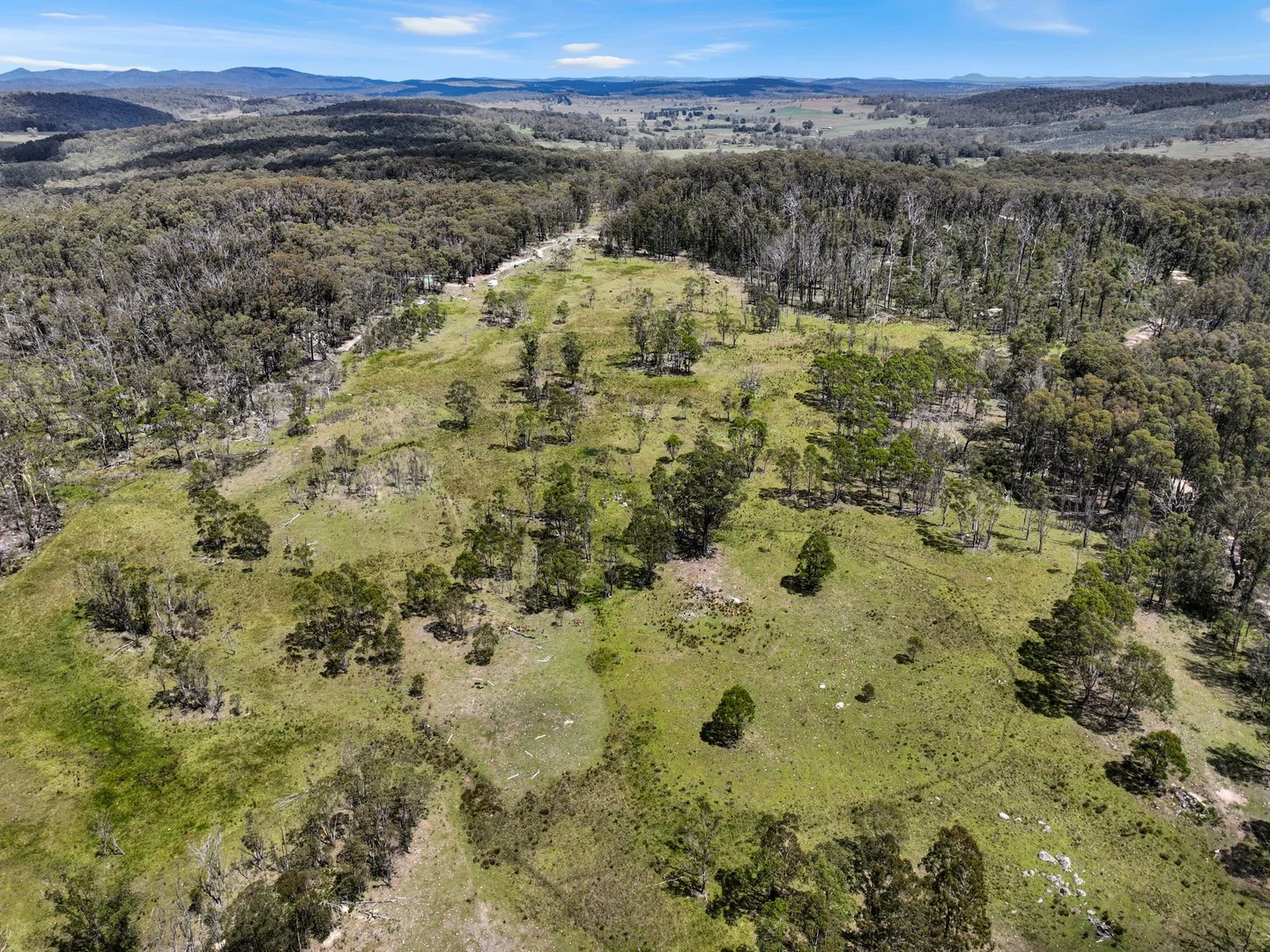 Additional image 24 of Lot 51 Tantawangalo Mountain Road, Cathcart NSW 2632