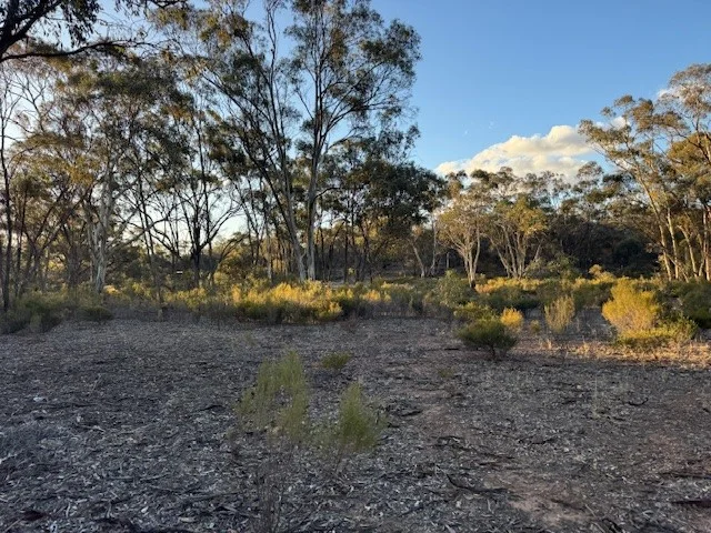 Additional image 2 of CA/24 Calder Highway, Wedderburn VIC 3518