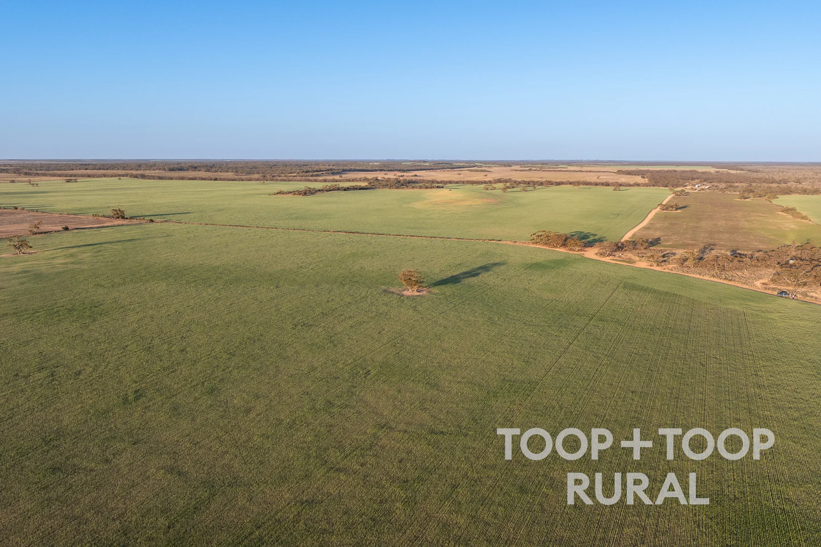 Additional image 8 of 499 Murbko Road, Murbko SA 5320