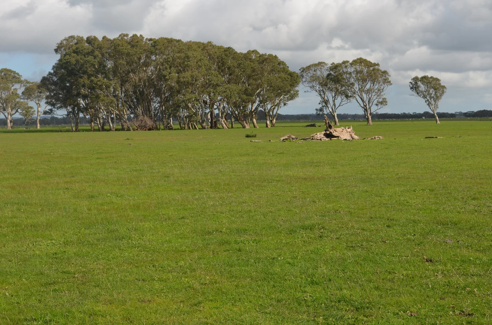 Additional image 3 of 1805 Manga Road, Kalangadoo SA 5278