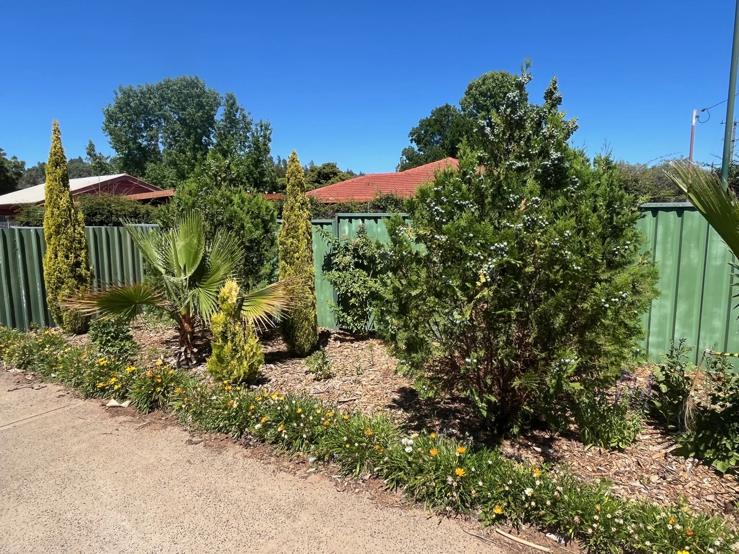 Additional image 22 of 20 Barker Street, Coonabarabran NSW 2357