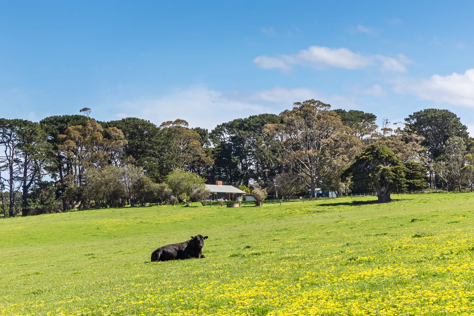 Additional image 4 of 1597 Boneo Road, Flinders VIC 3929