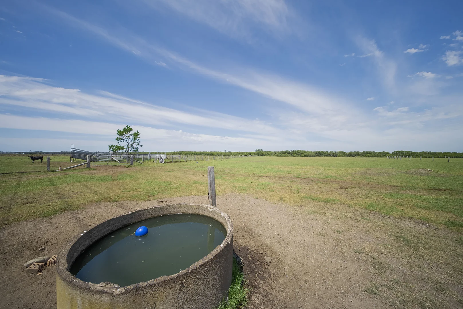 Additional image 22 of 285 Cabbage Tree Road, Williamtown NSW 2318