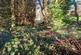 Additional image 20 of Spry Lane, Lifton