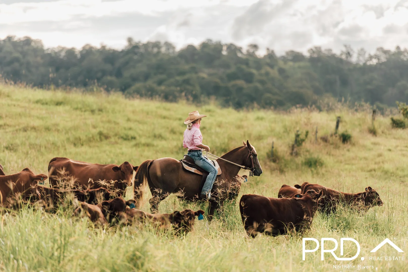 Additional image 14 of Lot 30, 46 Lynches Creek Road, Wiangaree NSW 2474