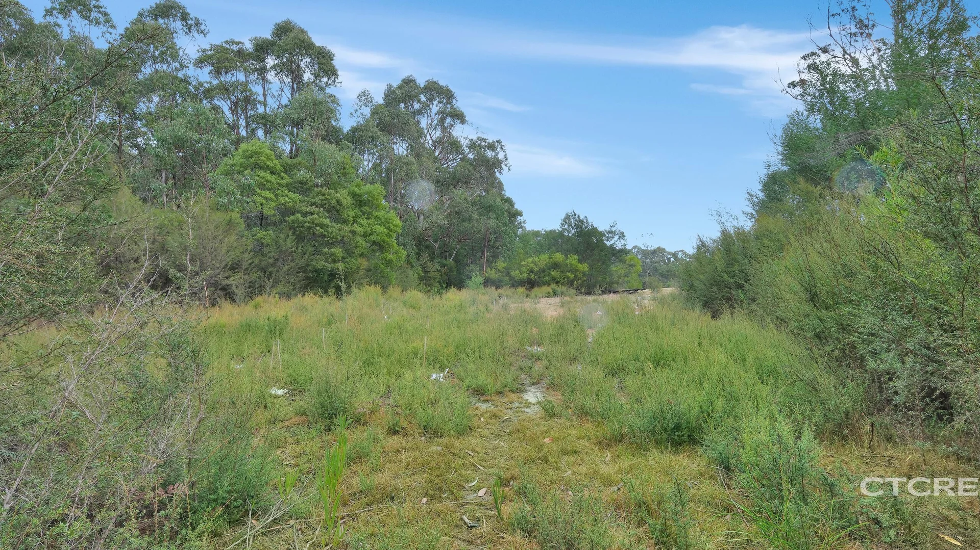 Additional image 12 of 181 Tamboon Road, Cann River VIC 3890