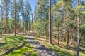 Additional image 26 of 4339 Magnolia Ln, Camino, CA, 95709