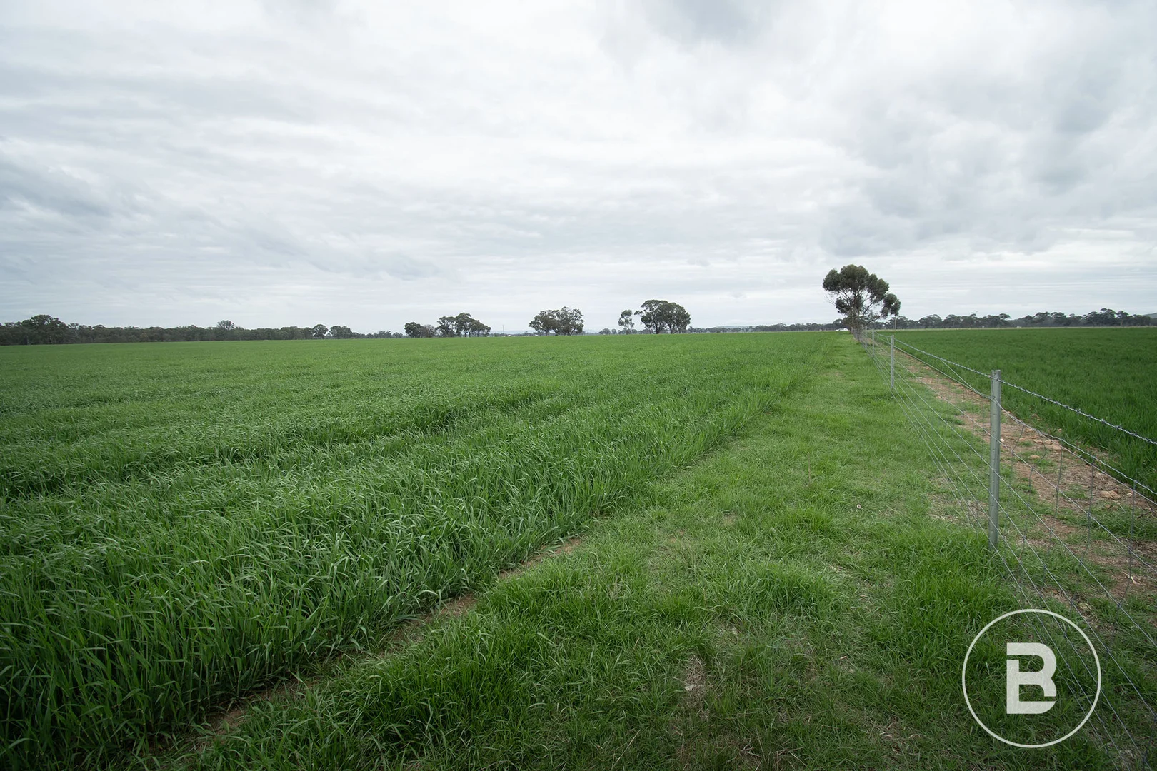 Additional image 13 of 174 Timor Bromley Road, Timor VIC 3465