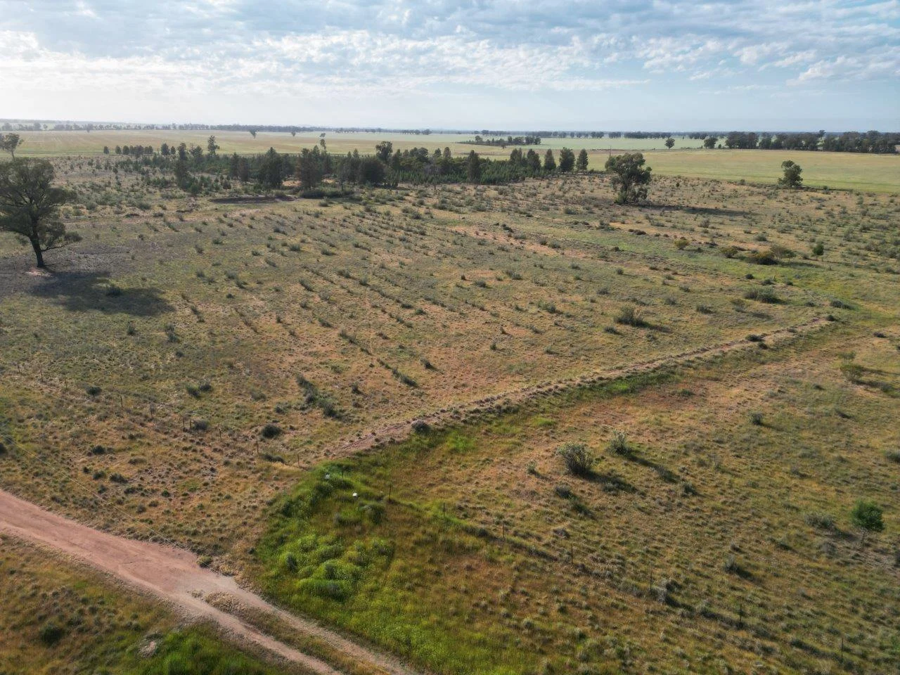 Additional image 8 of 'Cleveland' 548 Cunningtons Lane, West Wyalong NSW 2671