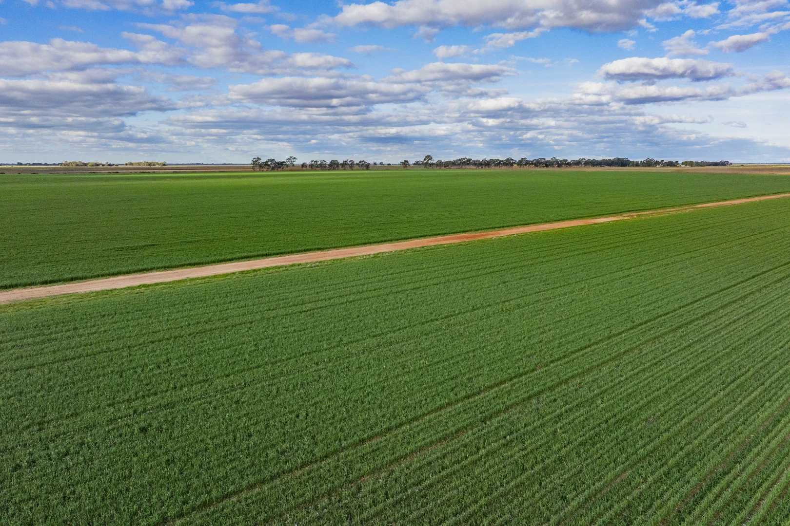 Additional image 3 of Glenn Road, Coleambally NSW 2707