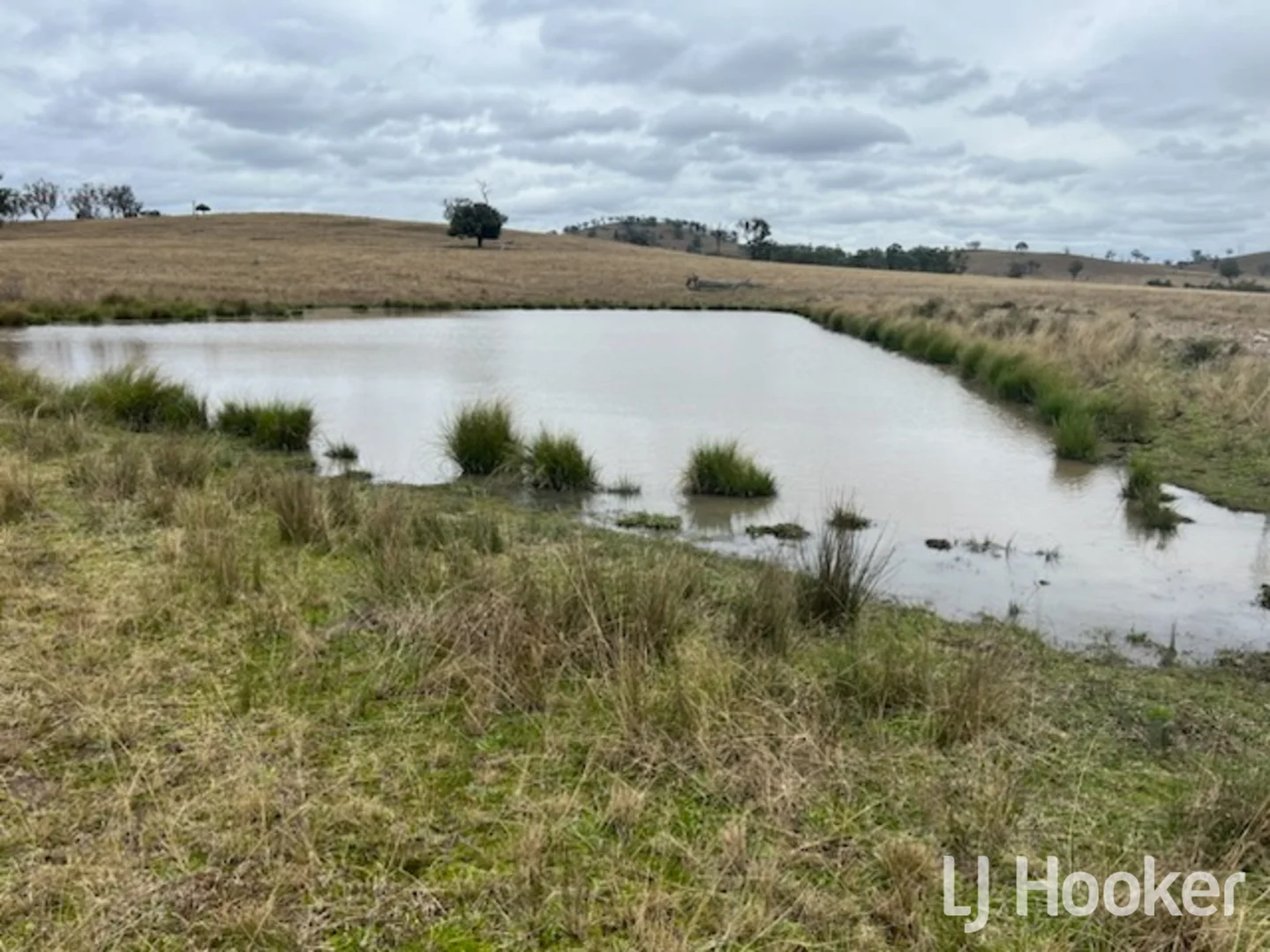 Additional image 14 of 557 Pindari Dam Road, Inverell NSW 2360