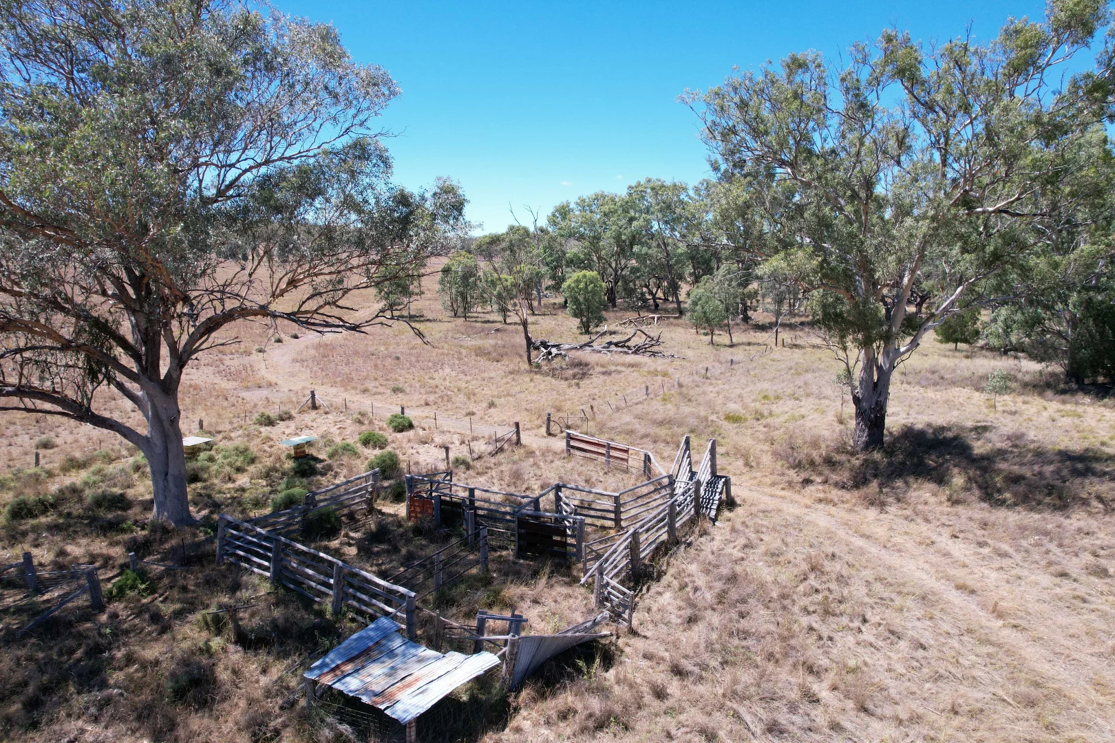 Additional image 13 of 247 Uandi Road, Inglewood QLD 4387