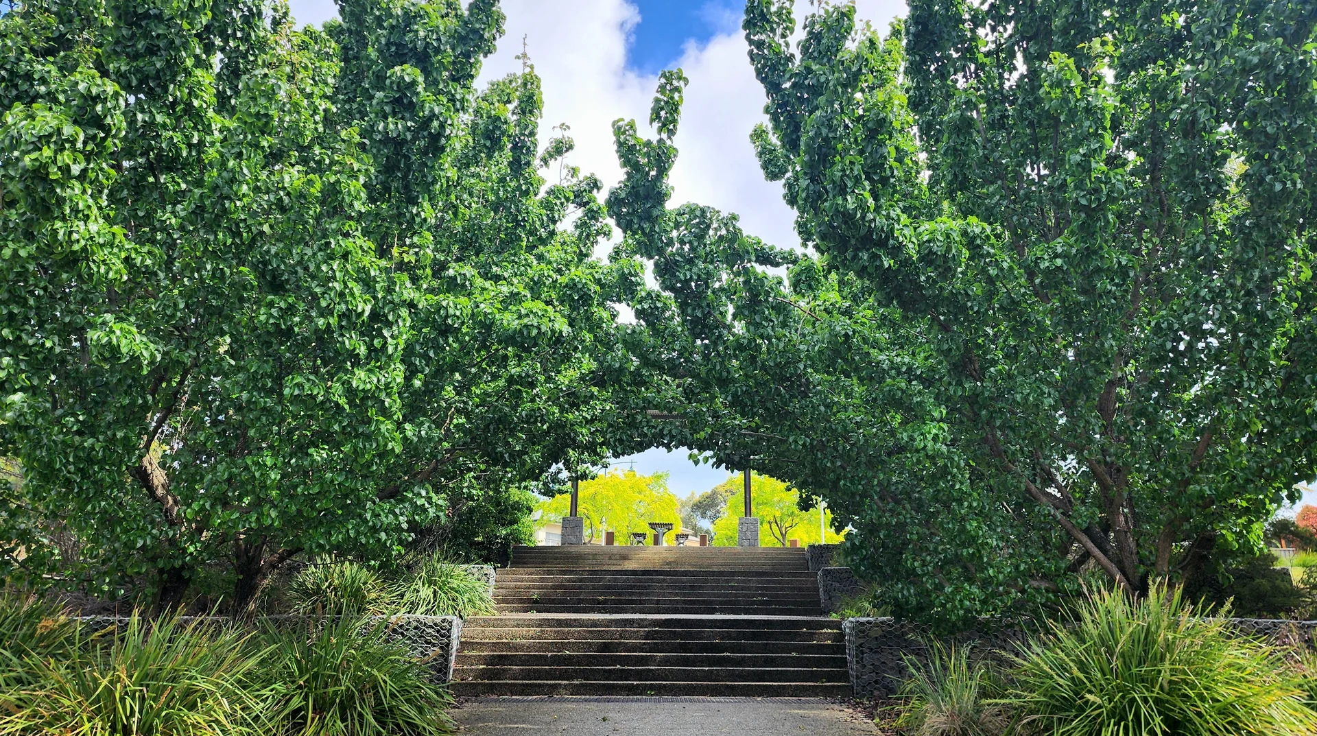 Additional image 12 of 7 Serene Terrace, Drysdale VIC 3222