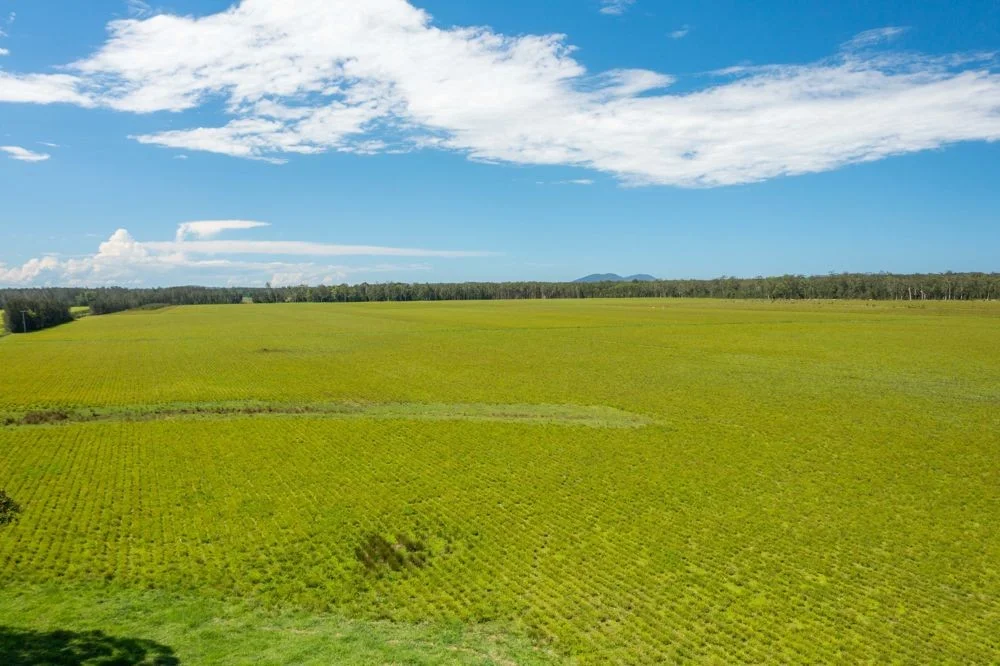 Additional image 9 of 1205 Maria River Road, Limeburners Creek NSW 2444