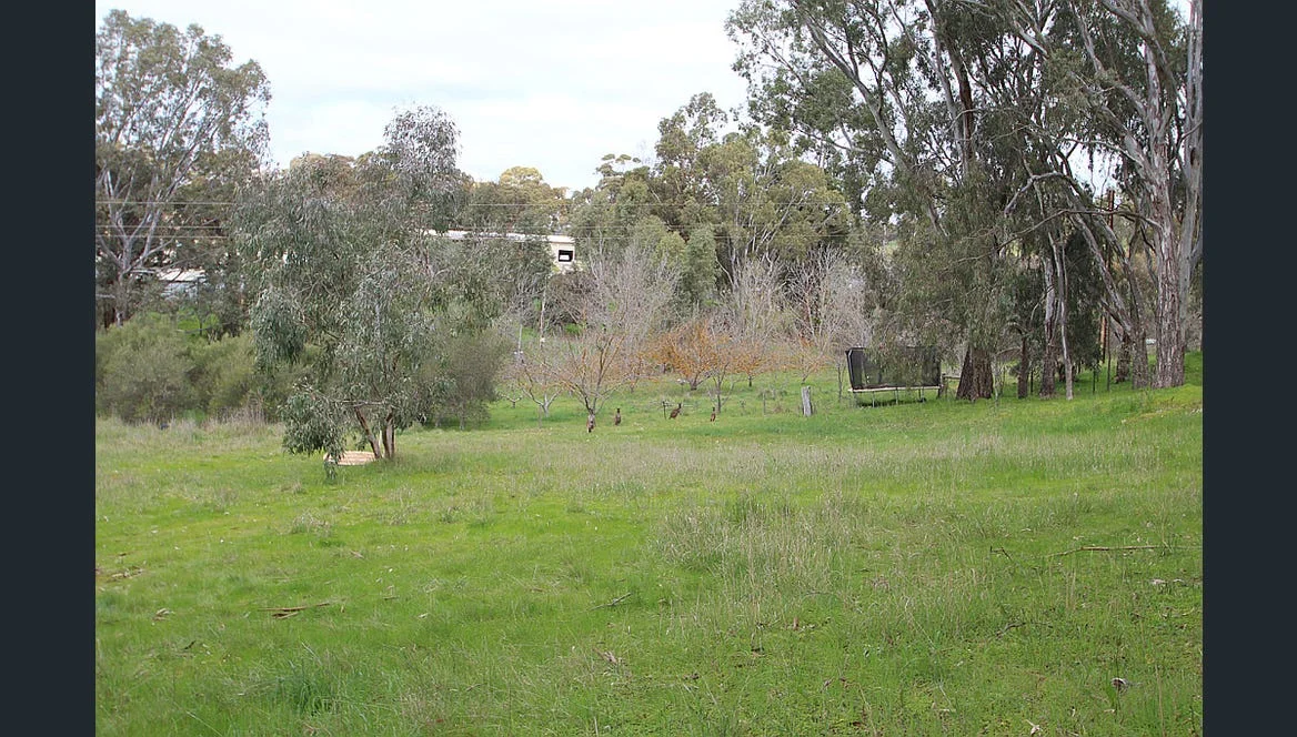 Additional image 4 of Lots 3 + 4 High Street West, Armagh SA 5453