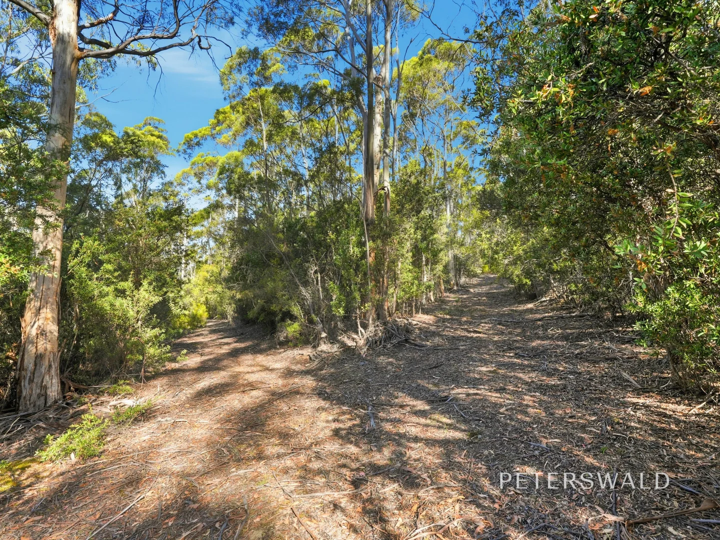 Additional image 16 of 3 Morphetts Road, Neika TAS 7054