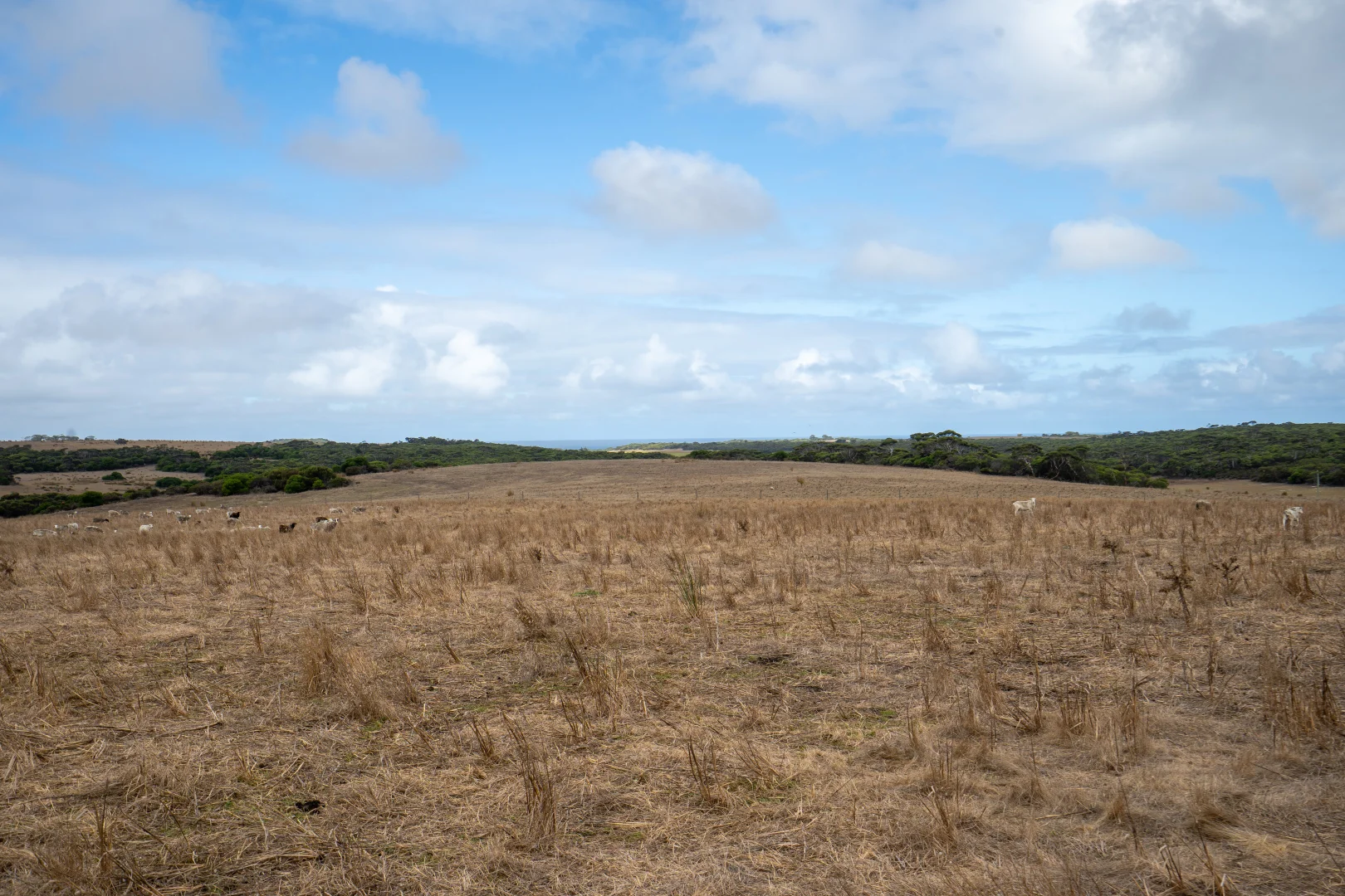 Additional image 11 of 582 Bluff Creek Road, Green Range WA 6328