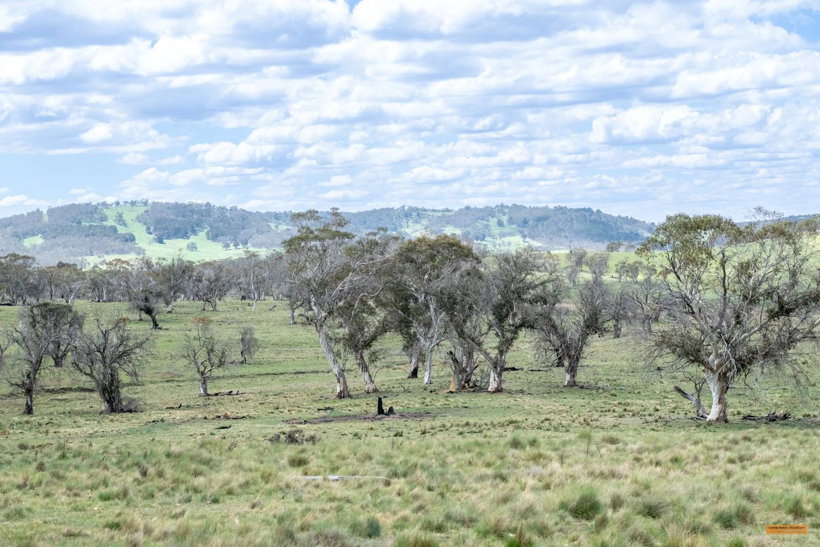 Additional image 9 of Lot 6 Avonside Road, Avonside NSW 2628