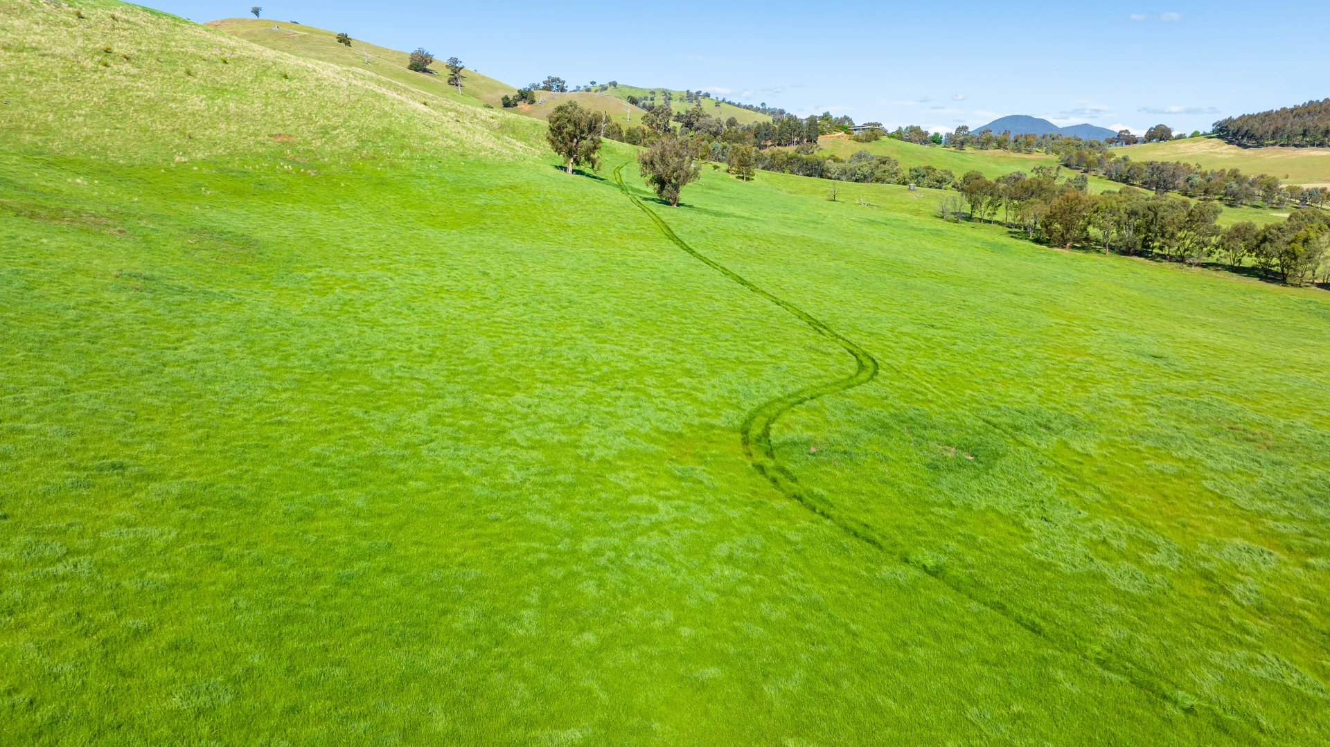 Additional image 16 of . Hore Road, Bowna NSW 2644