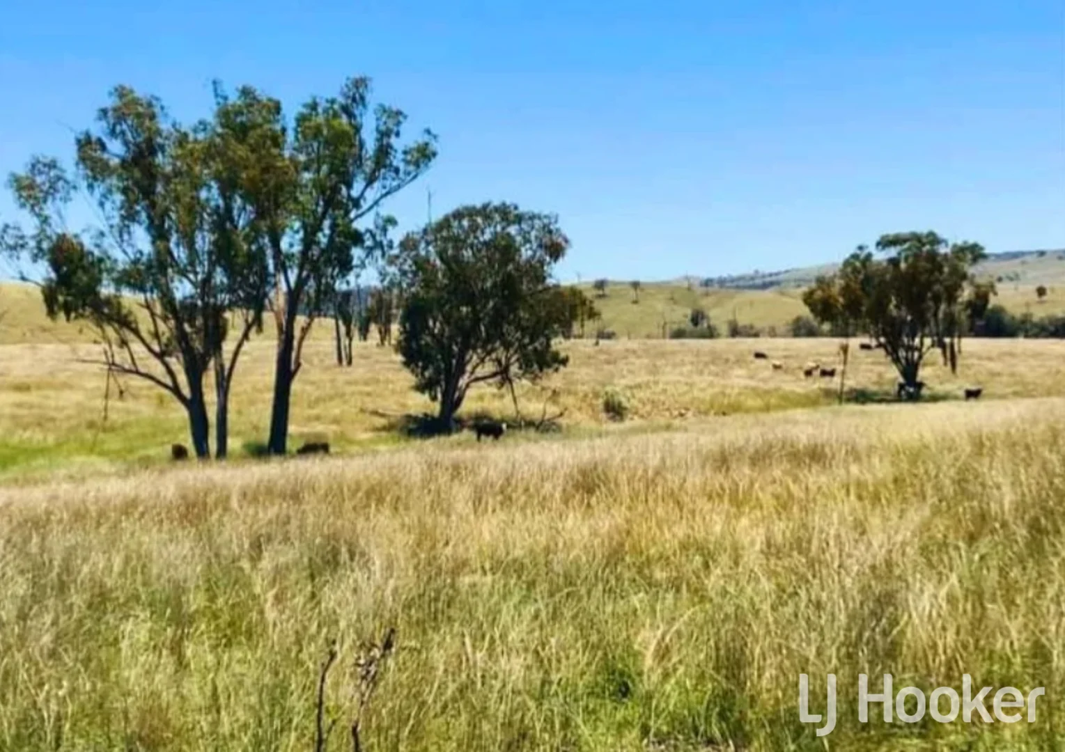 Additional image 19 of 557 Pindari Dam Road, Inverell NSW 2360