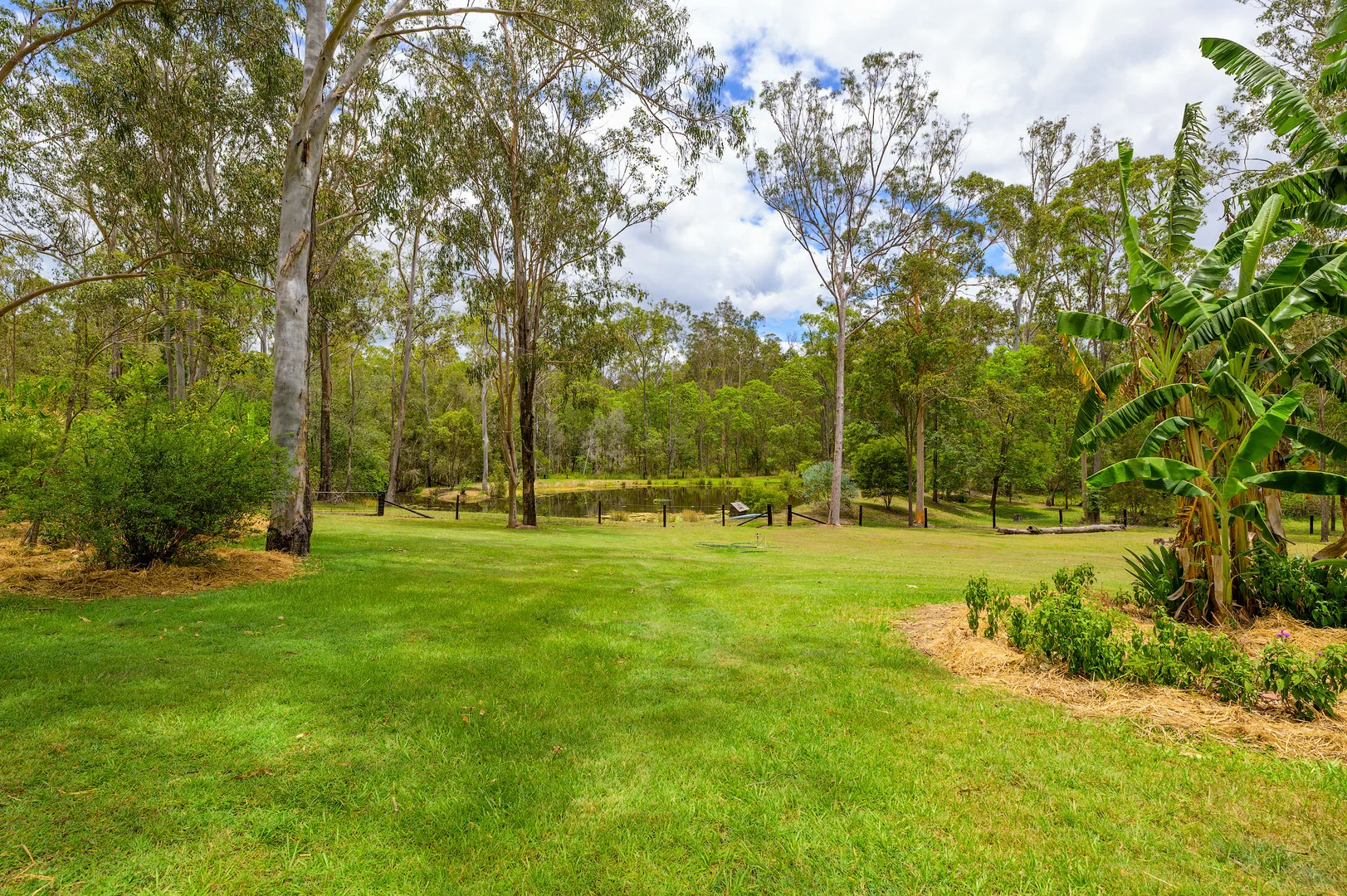 Additional image 15 of 15 Arborseventeen Road, Glenwood QLD 4570