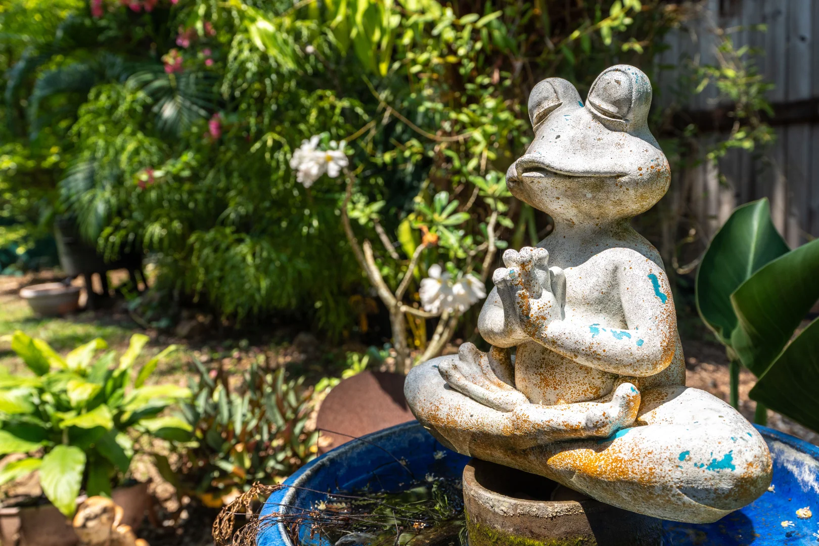 Additional image 39 of 14 Pacific View Drive, Wongaling Beach QLD 4852