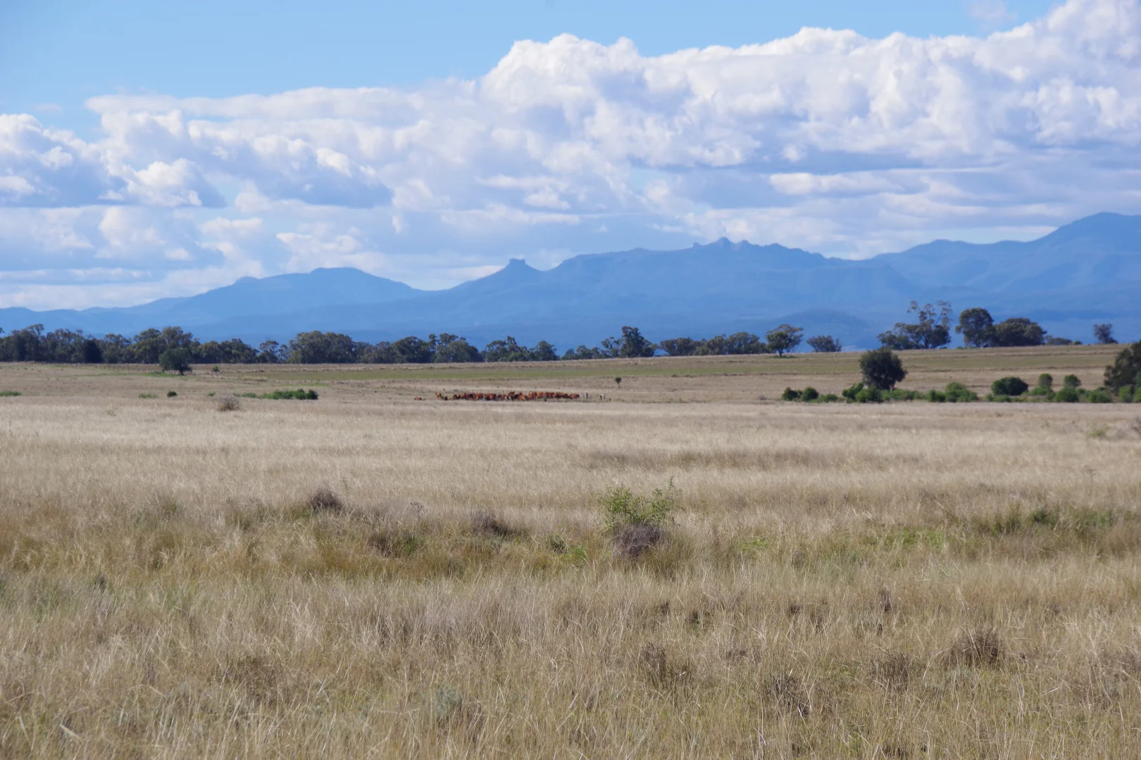 Additional image 25 of 635 Mayfield Road, Narrabri NSW 2390