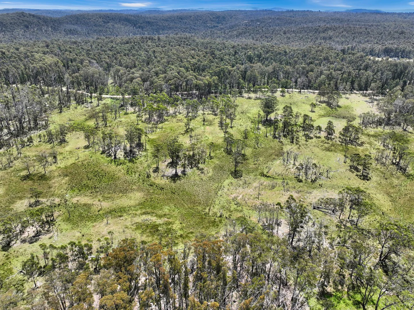 Additional image 29 of Lot 51 Tantawangalo Mountain Road, Cathcart NSW 2632